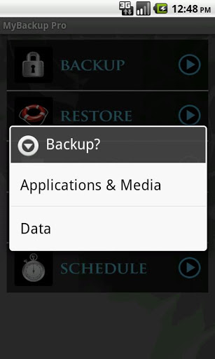 How To Make Local Backups Of Your Android Phone Data - MyBackup Pro Screenshot
